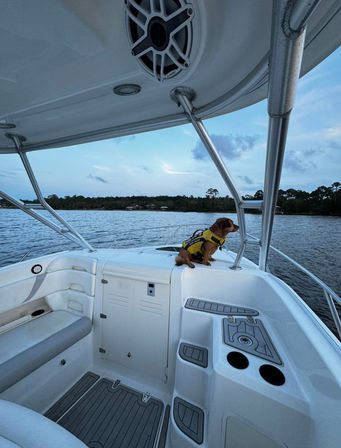 Small brown dog wearing a yellow life jacket perched on the bow of a white motorboat, looking toward a tree-lined shoreline across calm lake waters at dusk.