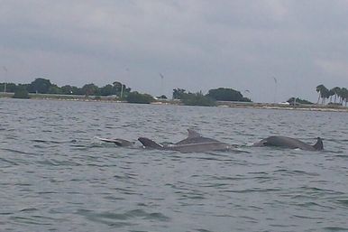 Captained Sandbar/Island Hopping Party Charter image 22