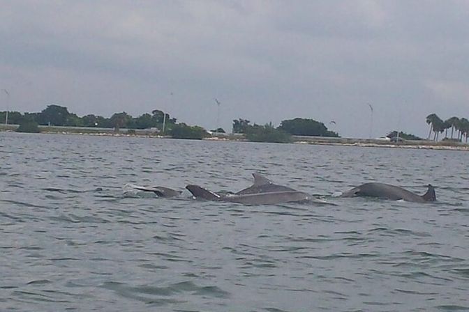 Captained Sandbar/Island Hopping Party Charter image 22