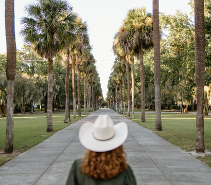Back view of a person wearing a white hat walking down a sunlit palm-tree-lined avenue with oak trees draped in Spanish moss.