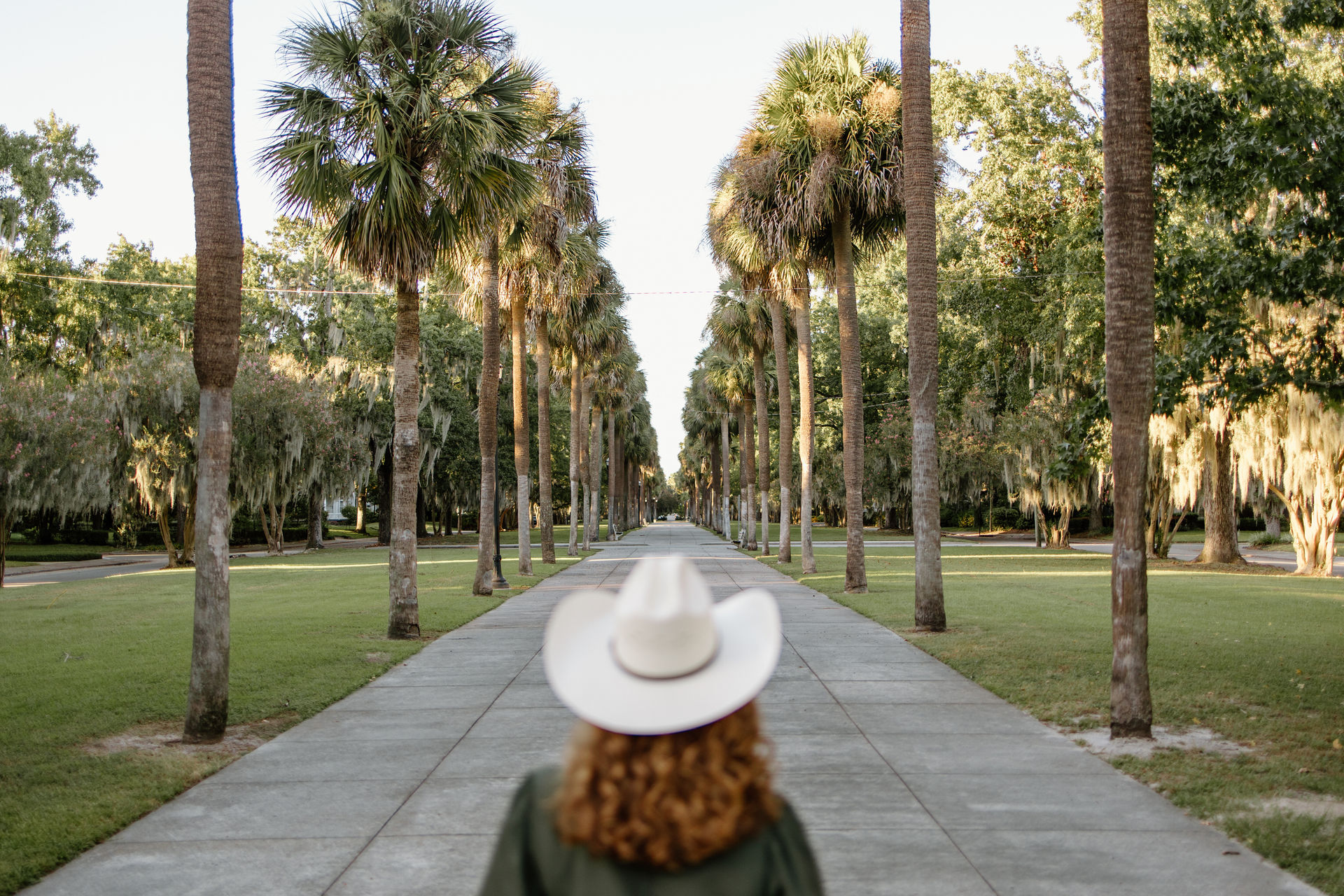 Back view of a person wearing a white hat walking down a sunlit palm-tree-lined avenue with oak trees draped in Spanish moss.