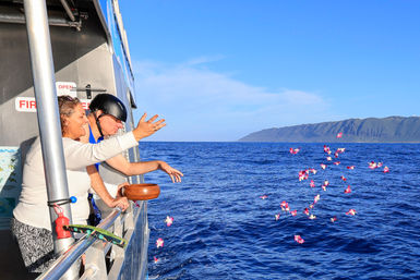 Two passengers on a boat scatter pink flower petals into the deep-blue open ocean toward a distant rugged island coastline under a bright, clear sky.