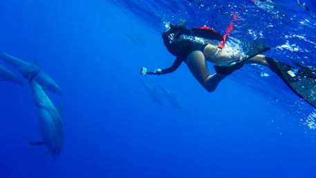 Snorkeler with fins holding an action camera at the ocean surface while playful dolphins glide below in deep blue open water
