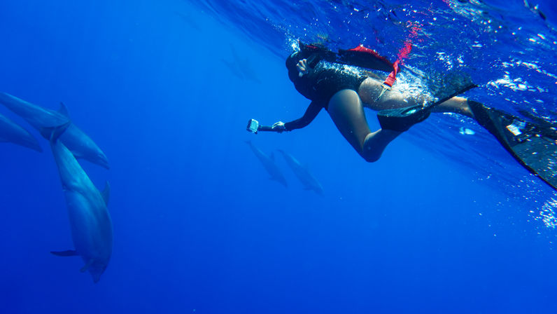 Snorkeler with fins holding an action camera at the ocean surface while playful dolphins glide below in deep blue open water