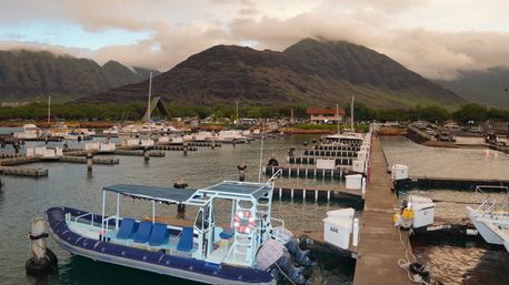 Tropical island marina with a covered tour boat moored at a wooden dock, rows of boat slips and calm harbor waters backed by lush green mountains under a cloudy golden sky