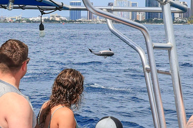 Passengers on a boat watch a playful dolphin breach the deep-blue ocean, framed by metal railings with a distant coastal city skyline in the background.