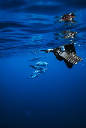 Freediver's fins at the surface with a playful pod of dolphins swimming below in deep blue open ocean