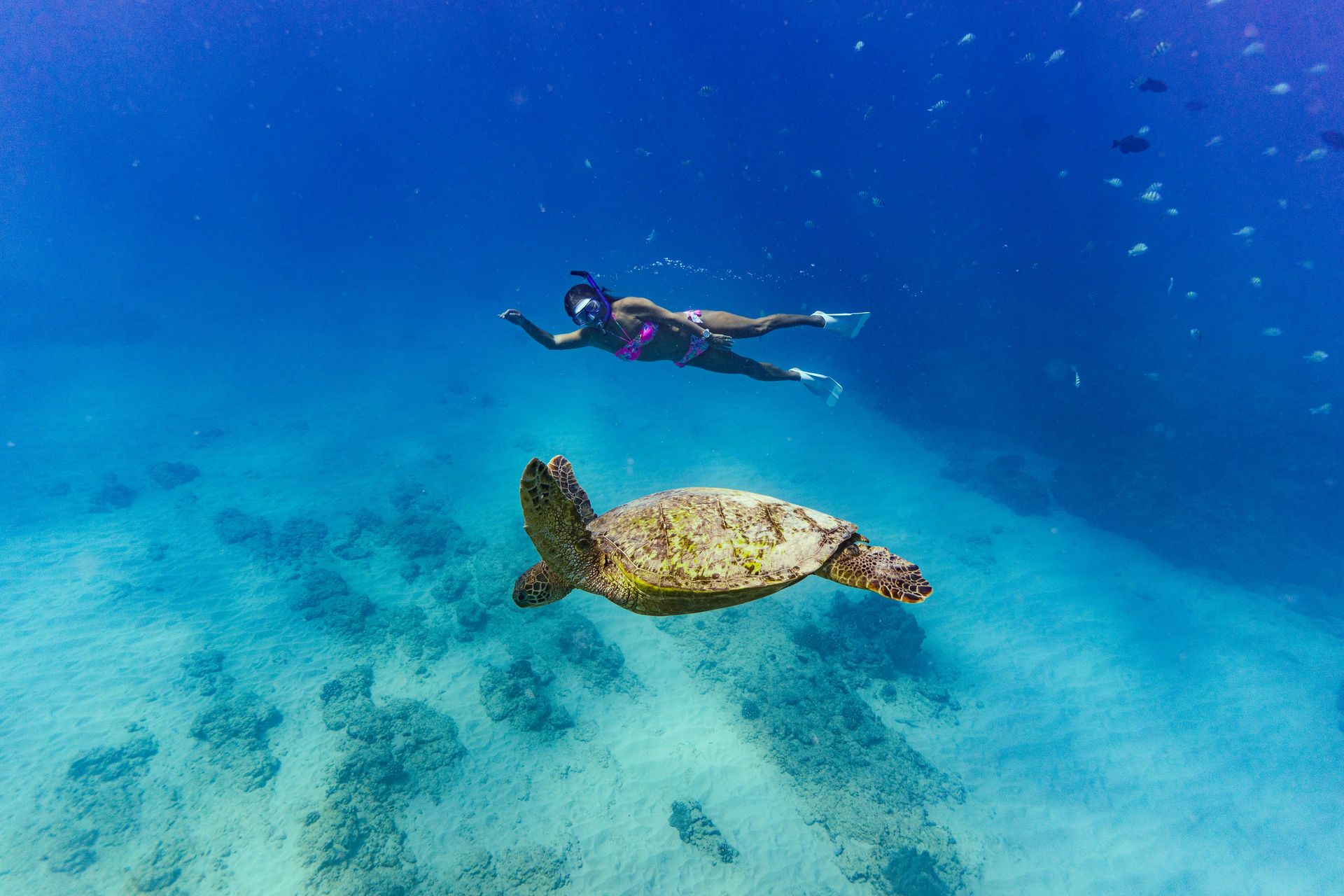 Snorkeler with fins and snorkel gliding beside a green sea turtle over a sunlit coral reef in crystal-clear tropical blue water