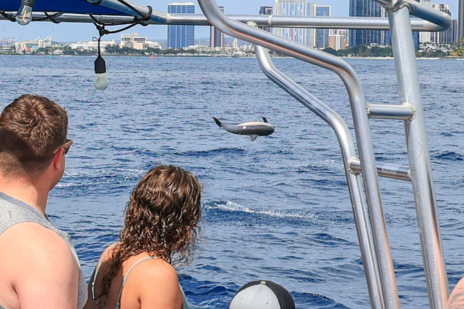 Boat tour passengers watch a dolphin breach in the deep blue ocean with a coastal city skyline on the horizon