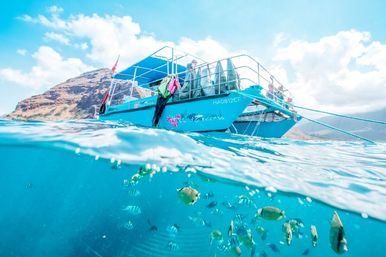 Split-shot of a blue tour catamaran anchored off a rocky tropical island, crystal turquoise water revealing colorful reef fish beneath the surface — perfect for snorkeling and island boat tours.