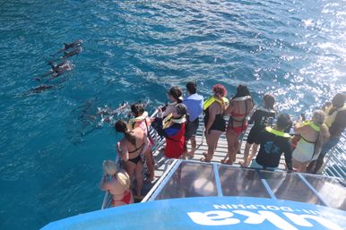 Group of passengers on a boat platform wearing life jackets watching a pod of dolphins swim in clear turquoise ocean water on a sunny dolphin-watching boat tour.