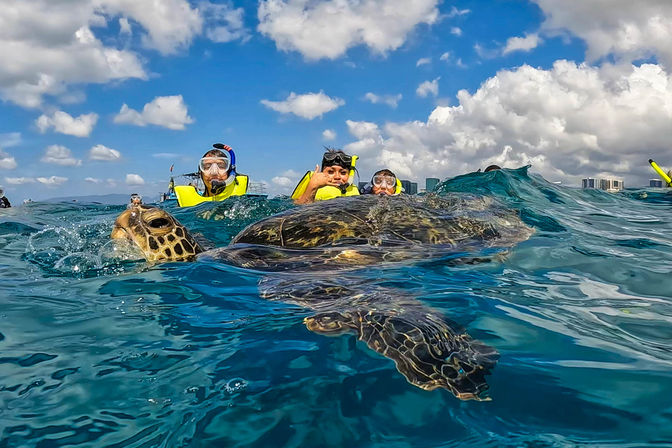 Snorkelers in bright yellow vests encountering a large sea turtle at the surface of clear tropical blue water under a sunny, partly cloudy sky.