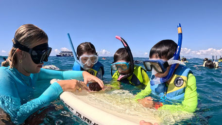 Instructor and three snorkelers in colorful life jackets leaning on a foam board in clear blue ocean, wearing masks and snorkels and curiously examining a small dark sea urchin with a boat on the horizon.
