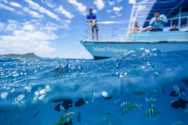 Split-view of clear tropical blue water teeming with colorful reef fish beneath a blurred tour boat and distant island under a sunny sky.