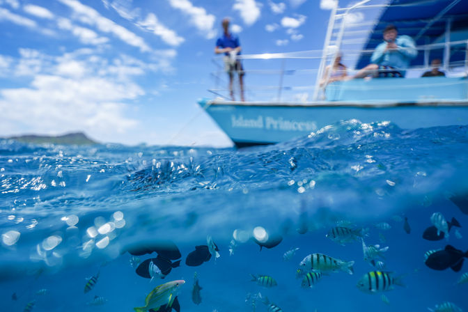 Split-view of clear tropical blue water teeming with colorful reef fish beneath a blurred tour boat and distant island under a sunny sky.