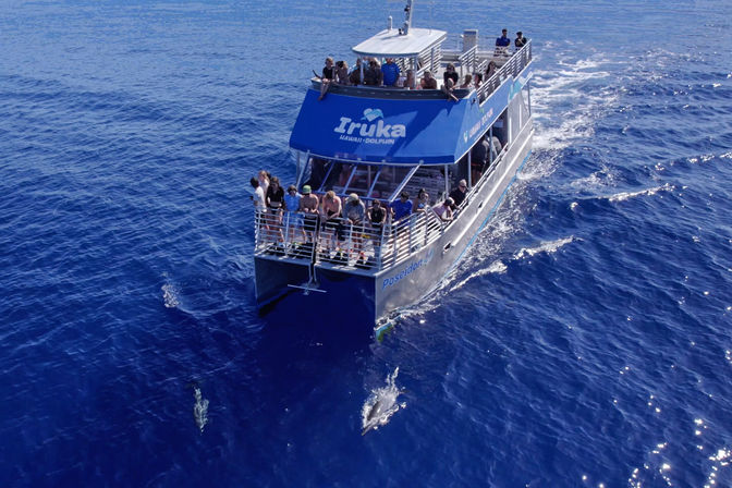 Aerial view of a sightseeing catamaran in deep blue Hawaiian waters with passengers on deck watching two dolphins swim near the bow