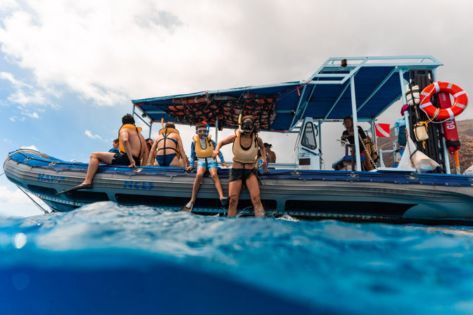 Swim with Wild Dolphins: Zodiac Speedboat Safari Tour image 16