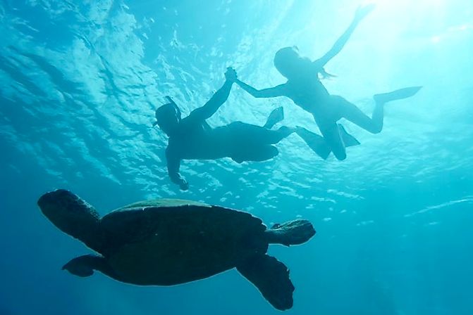 Two snorkelers holding hands above a sea turtle, silhouetted in clear turquoise tropical water in an underwater snorkeling scene