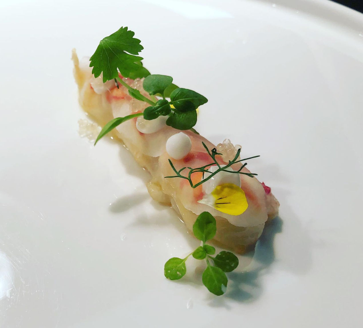 Minimalist fine-dining raw seafood crudo on a white plate, topped with microgreens, citrus pearls and a small yellow edible flower.
