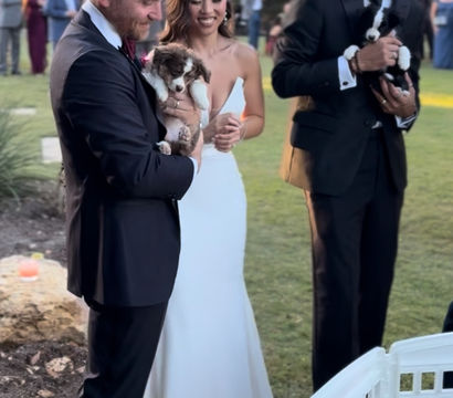 Outdoor wedding on a green lawn: bride in a white gown and groom in a black suit smile while holding adorable puppies, a man in a tux holds another pup beside a white pet playpen with guests blurred in the background.