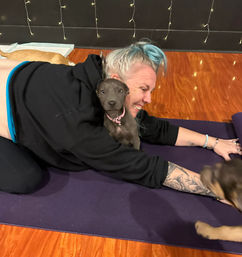 Smiling person with blue hair and tattooed arm hugging a playful gray puppy on a purple yoga mat indoors, hardwood floor and string lights in the background.
