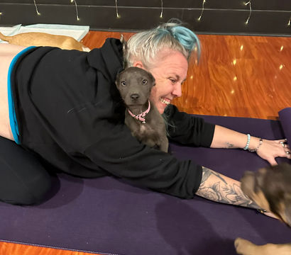 Smiling person with blue hair and tattooed arm hugging a playful gray puppy on a purple yoga mat indoors, hardwood floor and string lights in the background.