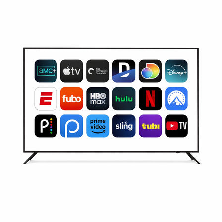 Party Gear Rentals for Airbnbs & Hotels: Bluetooth Speaker, Shot Ski, Air Mattress, TV Setup (Free Delivery) image 11