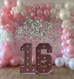 Photo & Content Rentals for Airbnbs & Hotels: Photo Booth, Backdrop, Selfie Stand, Lighting (Free Delivery) image 12