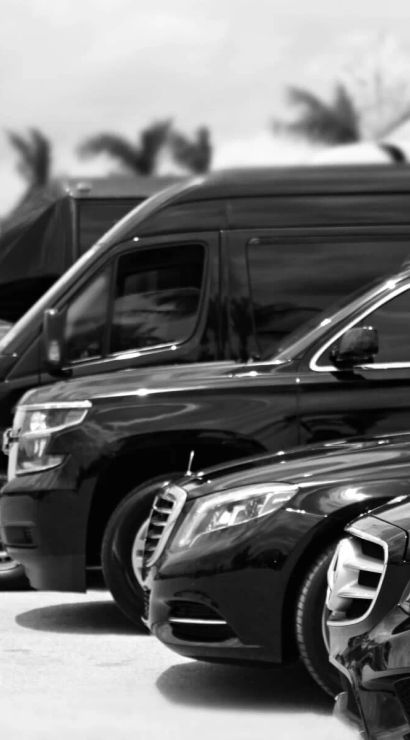 Sleek black luxury cars and passenger vans lined up outdoors with palm trees in the background and a suited chauffeur cropped at the right — luxury transport fleet.