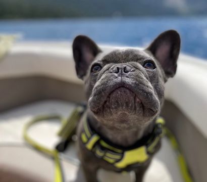 Tahoe Wakebusters