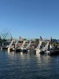 30ft Double Decker Party Pontoon with Waterslides! image 23