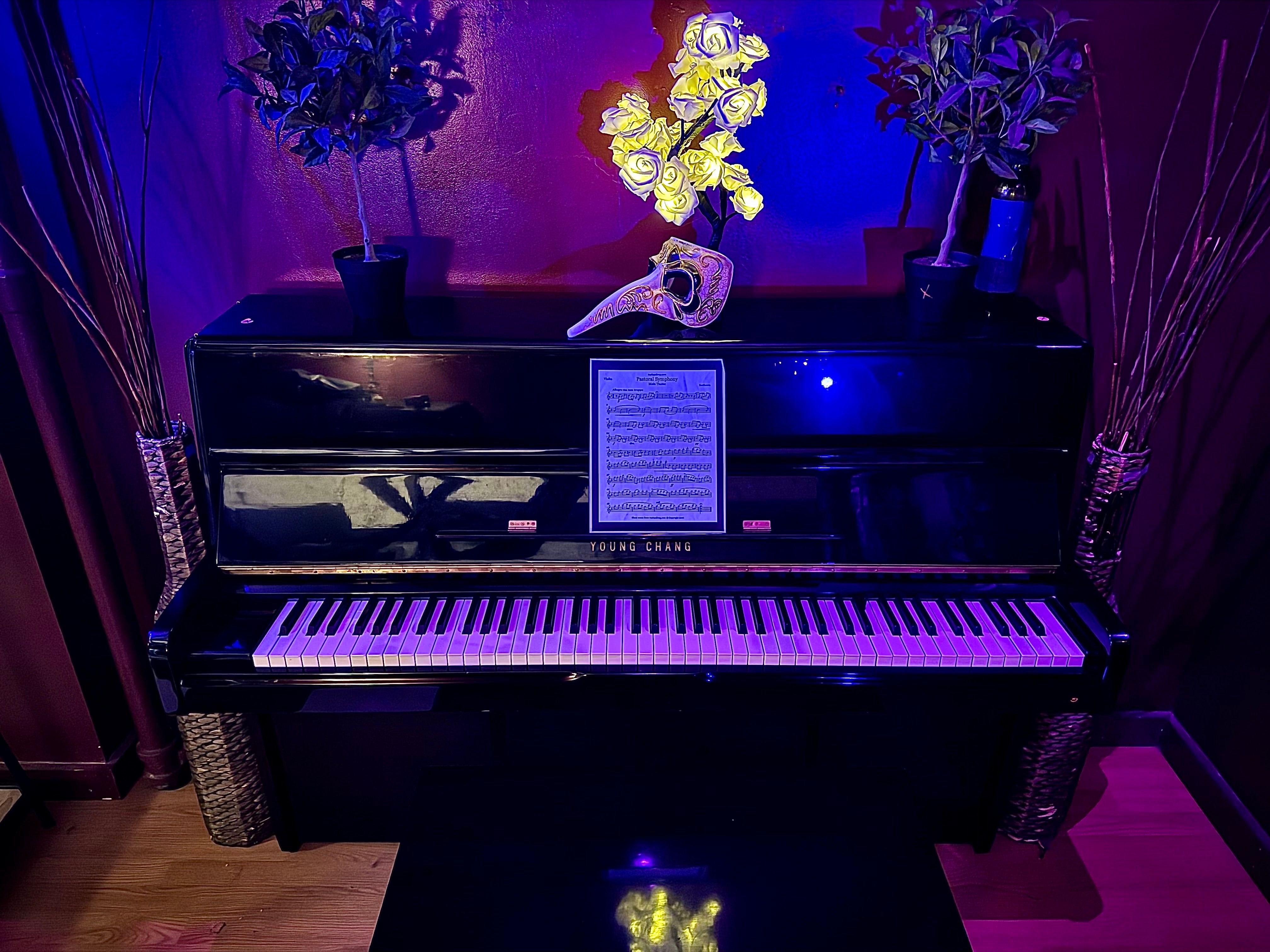 Black upright piano in a cozy home music room bathed in moody purple-blue light, sheet music on the stand, an ornate decorative mask and bright yellow faux flowers on top, flanked by potted plants and tall wicker vases.