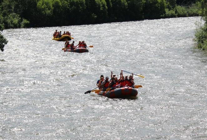 Three inflatable rafts full of paddlers in orange life jackets cheer and paddle down a sunlit, tree-lined river for a lively river rafting adventure.