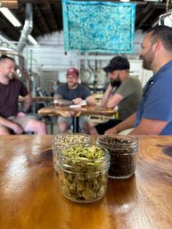 Close-up of three small glass jars holding dried hops and malts on a polished wooden bar, with industrial brewing equipment and a blurred group chatting over beer in a craft brewery taproom.