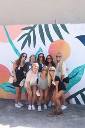 3+ Vineyard Winery Tour by Damn Good Transportation image 12