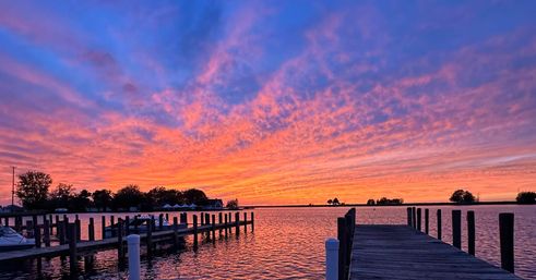 Vibrant pink-orange-purple sunset over a calm marina, wooden pier leading into the water with boats and tree silhouettes reflected on the bay