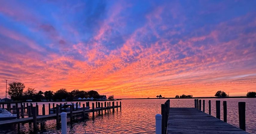 Vibrant pink-orange-purple sunset over a calm marina, wooden pier leading into the water with boats and tree silhouettes reflected on the bay