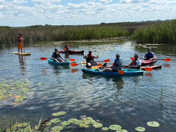 Group of paddlers in colorful kayaks and one on a paddleboard navigating a sunny freshwater marsh dotted with lily pads, tall reeds, and a blue sky with scattered clouds.