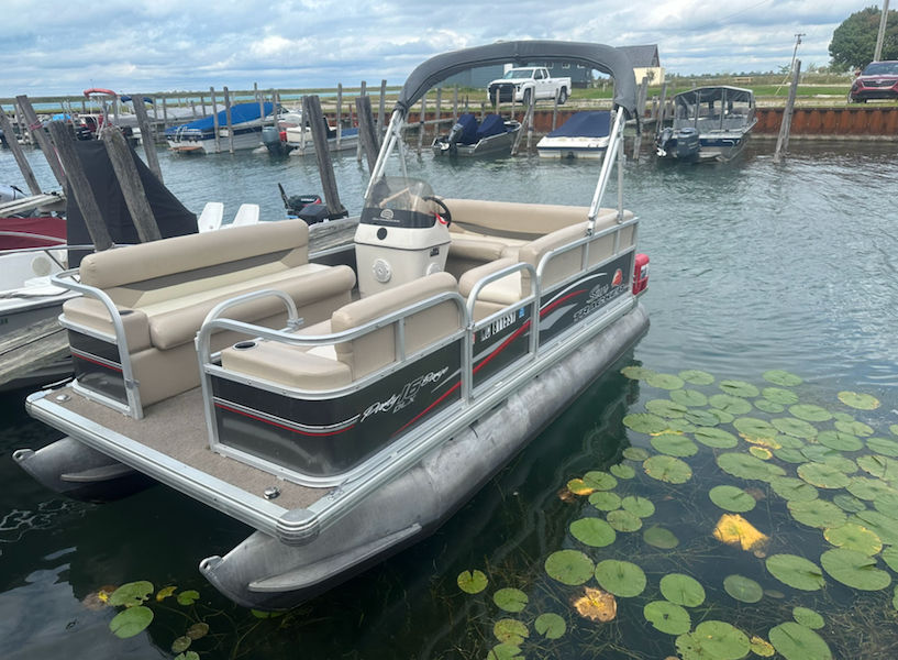 Beige-seated pontoon boat with bimini top moored at a lakeside marina next to green lily pads, wooden docks and other boats under a cloudy sky.