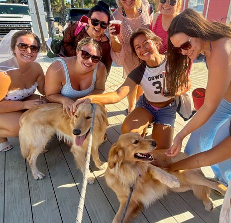 Group of smiling women in summer clothes on a sunny beachside boardwalk petting two golden retrievers on leashes