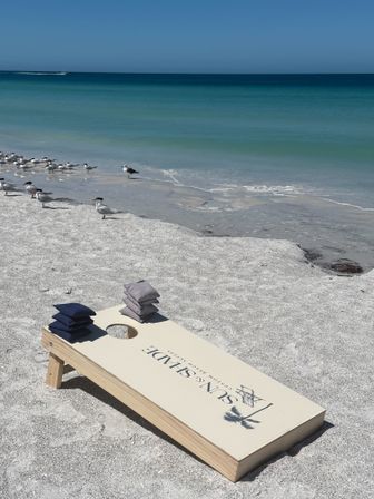 Sunny beach with a cornhole board and stacked bean bags on white sand, seabirds gathered along the turquoise shoreline and a distant boat on the horizon.