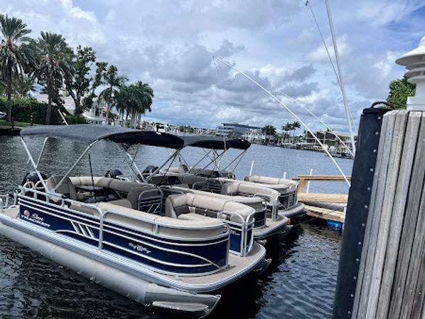 Three navy-and-cream pontoon boats docked at a tropical waterfront marina along a calm canal, framed by palm trees and a partly cloudy blue sky, ready for a leisurely cruise.