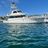 San Diego sea charters