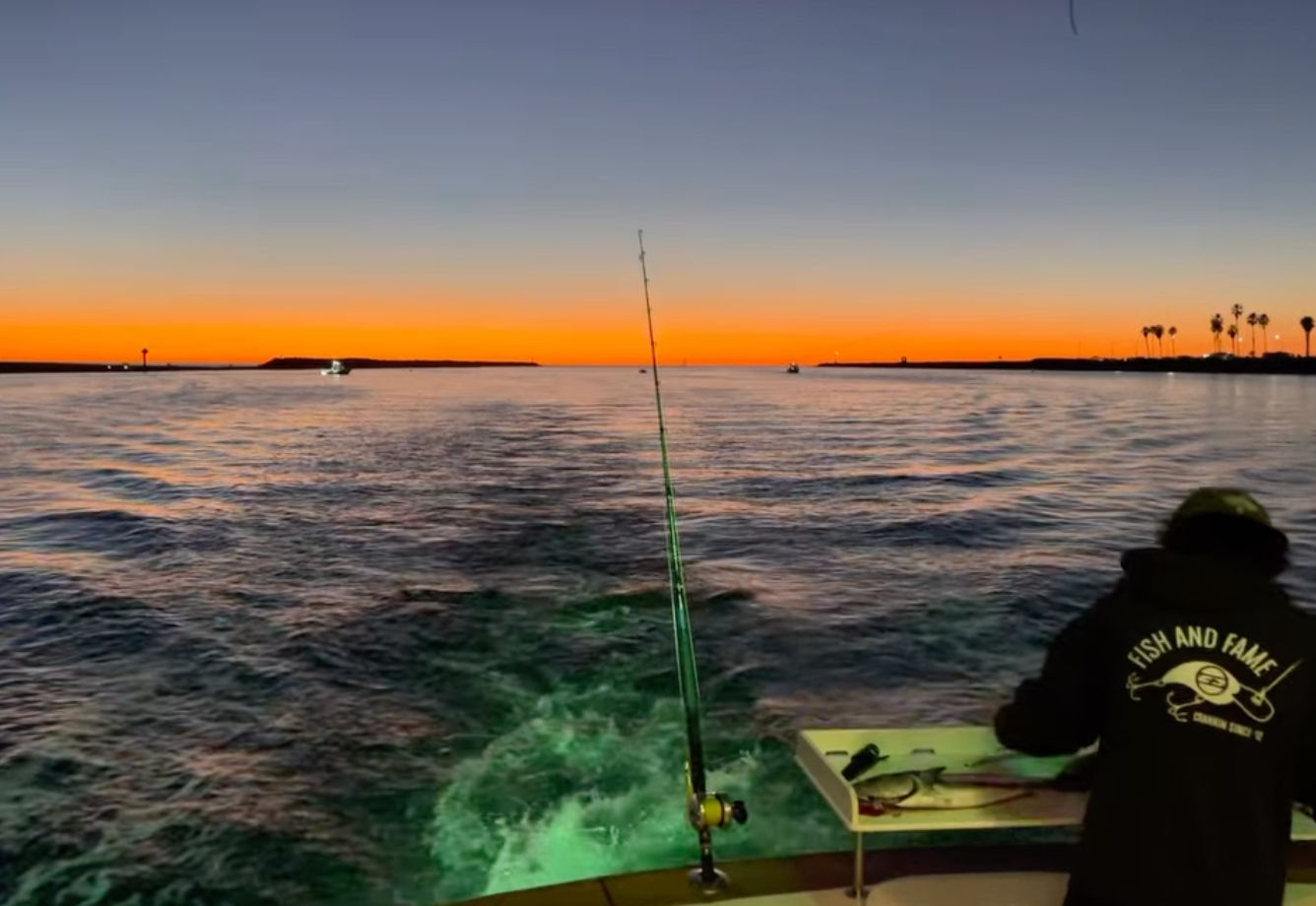 Private Evening Boat Charter: Fireworks Cruise or Sunset Tour (Up to 12 Guests) image 1