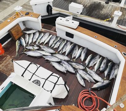 San Diego sea charters