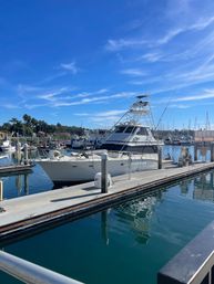 White sportfishing yacht docked at a sunny marina with palm trees and sailboat masts in the background, clear blue sky and calm water reflections.