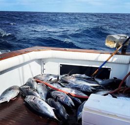 Offshore sportfishing boat deck piled with shiny, freshly caught tuna and a white cooler, dark blue open ocean and rolling waves beyond.