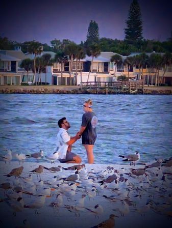 Romantic beach proposal: man kneeling before partner on sand among seagulls, choppy coastal water and waterfront homes in the background.