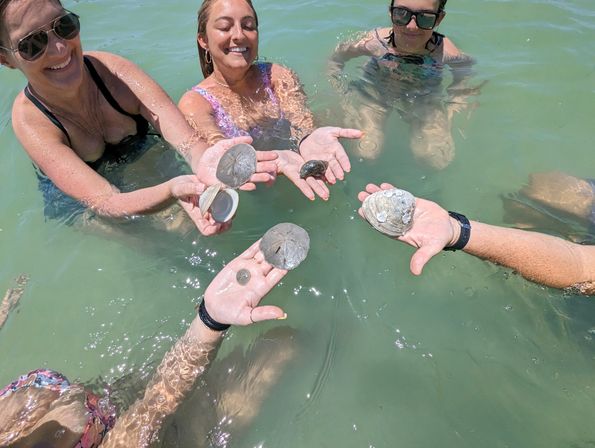 Smiling swimmers in shallow green seawater holding sand dollars, clamshells and small shells up during a beachcombing summer outing