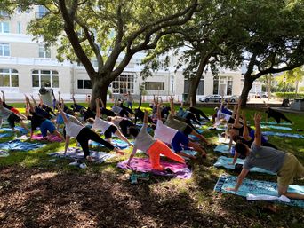 Group outdoor yoga class on colorful mats under sprawling oak trees on a sunny city park lawn, participants stretching in side-plank poses with a light-colored building in the background.